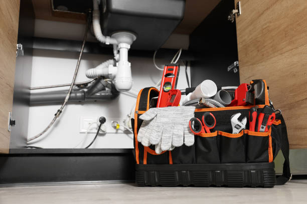 Best Residential Plumbing Services  in Palmetto Bay, FL