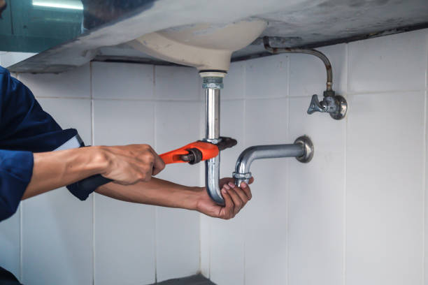 Best Local Plumber Services  in Palmetto Bay, FL