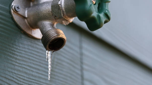 Best Septic Systems  in Palmetto Bay, FL